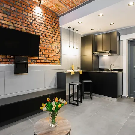 Level -1 Loft Center Kopernika Апартаменты Познань