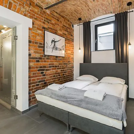 Apartment Level -1 Loft Center Kopernika Poznan
