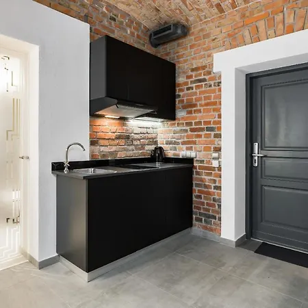 Apartment Level -1 Loft Center Kopernika