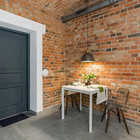 Apartment Level -1 Loft Center Kopernika Poznan